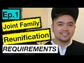 Episode 1: Requirements | Join Family Reunification | InfoVlog | Pinoy Nurse in Ireland