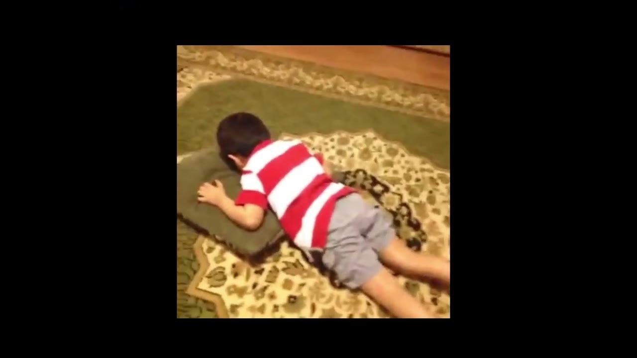 Kid gets slapped by fly swatter remix YouTube