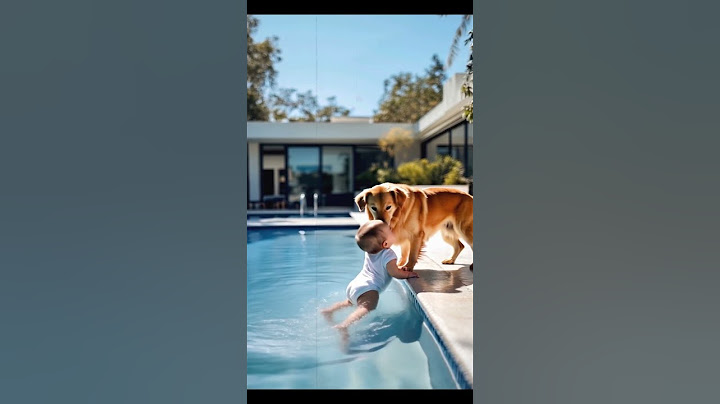 “Family’s Guardian Angel Dog”#dog #pets #shorts “                 Video Content Intended for Adults”