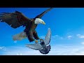 Орёл нападает на голубей.The eagle attacks the pigeons