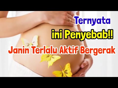 Ketahui Penyebab Janin terlalu aktif bergerak di dalam Kandungan