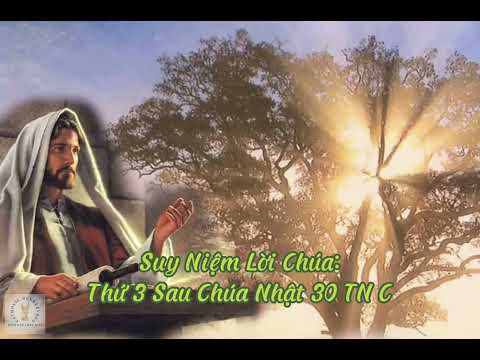 Video Suy Niệm Lời Chúa: Thứ 3 Sau Chúa Nhật 30 TN C - youtube