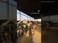 #funny #shortsviral #sidhumoosewala #farming #sardulgarh #newvideo #100millionviews