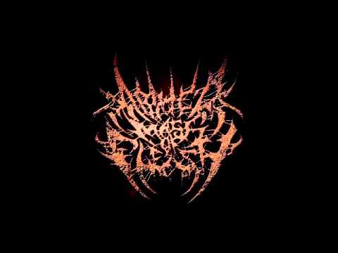 Abated Mass of Flesh - Violence (Official Lyric Video)