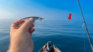 I Threw THIS 3 Miles OFFSHORE to Catch the One Fish EVERYONE Wants!!