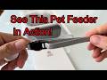 See This Pet Feeder In Action! #ad #amazonfinds #affiliate #petfeeder #cat #catfeeder