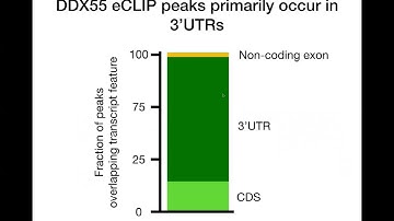 Integrative analysis of hundreds of RNA binding... - Matthew Gazzara - iRNA - Abstract - ISMB 2022