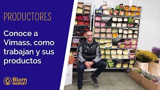 👉 Conoce a VIMASS | Mayoristas de Blom Market