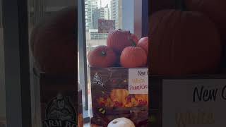 Pumpkins  In Farm Boy Supermarket  Toronto Canada