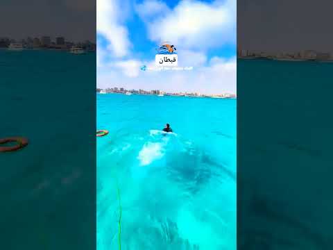 يخوت السخنه رحلات ترفهيه لو لسا مجربتش يخت يبقا فيتك كتير للحجز والاستفسار 01017600663