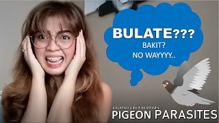 MGA BULATE AT PESTE SA BITUKA NG KALAPATI KO/ PIGEON PARASITES ARE REAL/KALAPATI GIRL PHILIPPINES