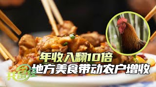 一年的收入能翻10倍？林下养🐔开启致富新模式 美味地方美食让农户收入大增 「共富经」20240403 | 农业致富经 Agriculture And Farming