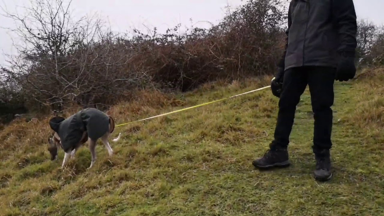 Folkestone Dec 19, going up Sugar Loaf hill.