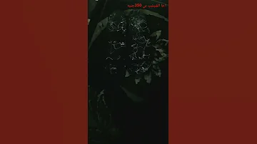 يعني ليه سعر الشبشب ده هو شبشب بيتلبس لوحدو 