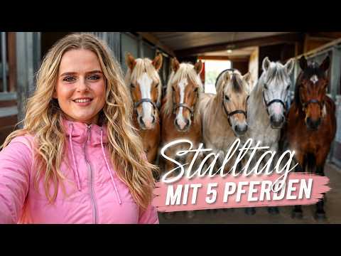 STALLVLOG MIT 5 PFEDEN 🐴🤯