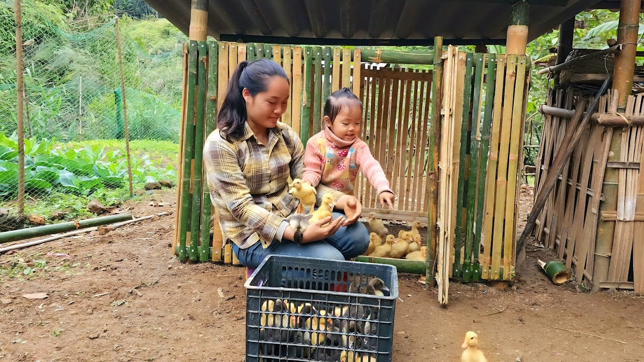 Harvest pumpkins and sell them at the market. Completed duck coop