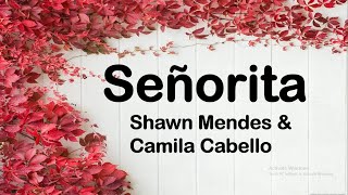 Shawn Mendes & Camila Cabello - Señorita (Lyrics)