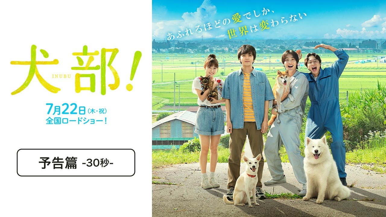 映画 犬部 評価感想 ただ泣ける犬映画じゃない 命を考えるまじめな内容
