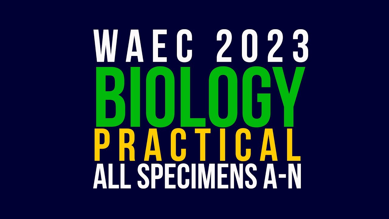 biology essay for waec 2023