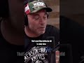 Getting EATEN ALIVE by a GRIZZLY BEAR - Joe Rogan