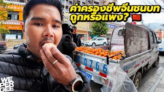 $1.50 Fruit Truck - The Cost of living in Rural China 🇨🇳