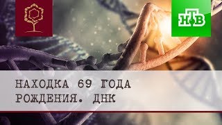 видео: НТВ ДНК Находка 69-го года рождения картинка: НТВ ДНК Находка 69-го года рождения