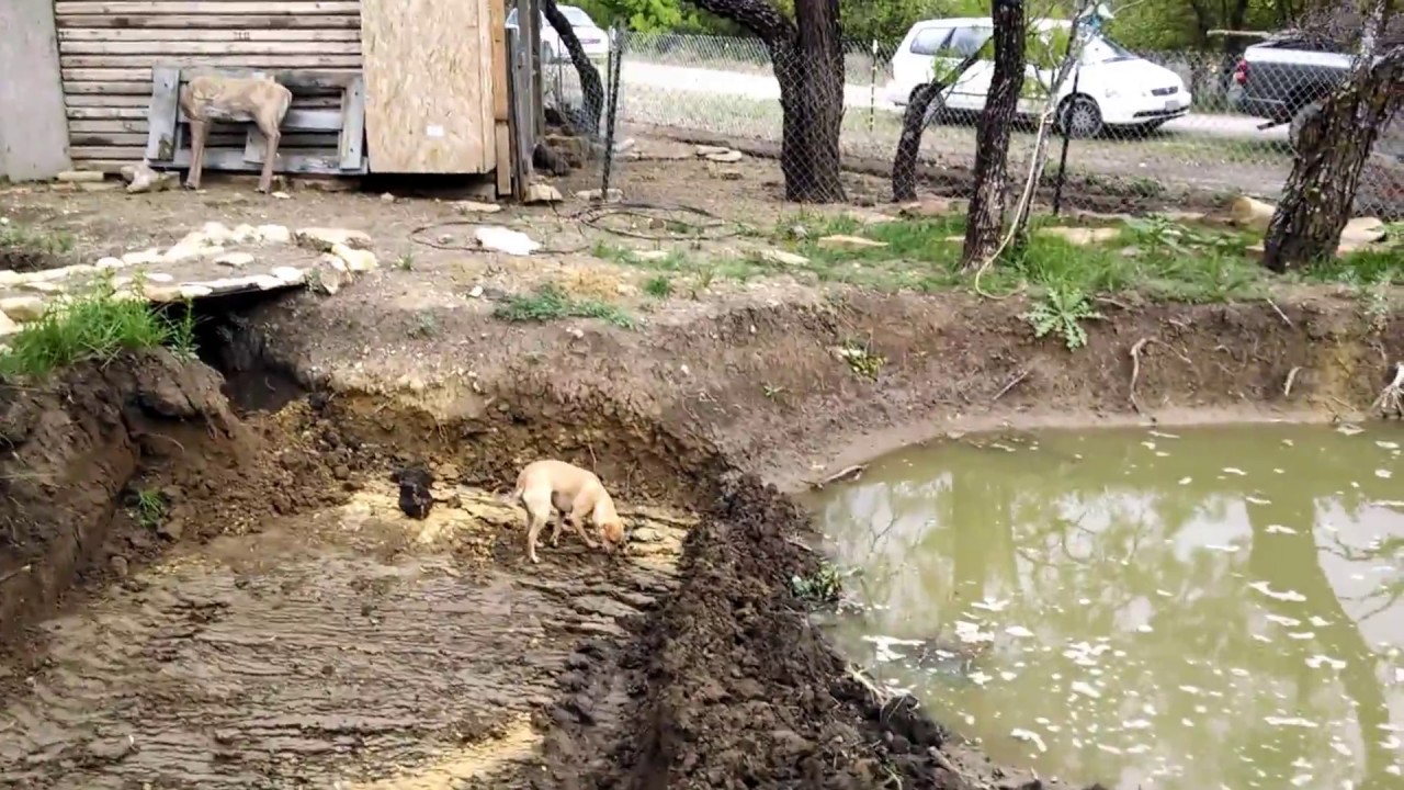 Skid Steer POV, Digging in our Frog Pond. YouTube