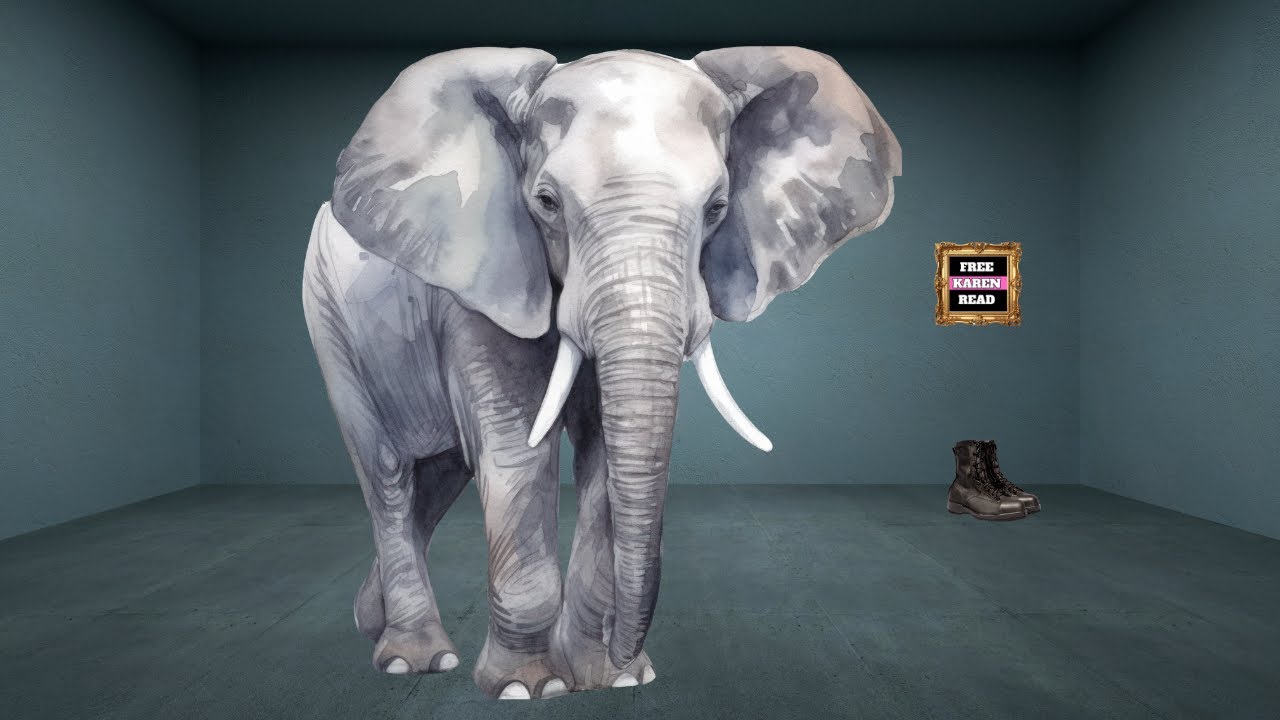 Addressing The Elephant In The Room... YouTube