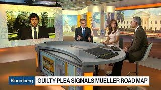 Celebrity Do Indictments Signal Mueller Road Map? Profile
