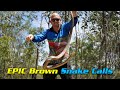Epic brown snake calls