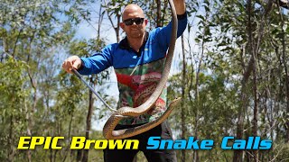 Epic Brown Snake Calls!!!