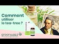 Comment utiliser le tea tree