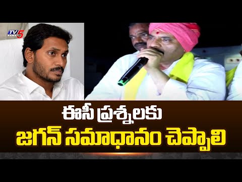 TDP MLA Candidate Prathipati Pulla Rao Comments On Jagan | Tv5 News - TV5NEWS