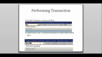 SAP Basic Part 1 (With Audio)