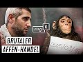 Tier-Mafia UNDERCOVER: Wir stellen die Händler | STRG_F