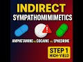 Indirect Sympathomimetics EXPLAINED | Amphetamine vs Cocaine vs Ephedrine (HIGH-YIELD) #highyield