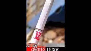 Story wa terbaru, merokok itu hanya dalam orang-orang santuy