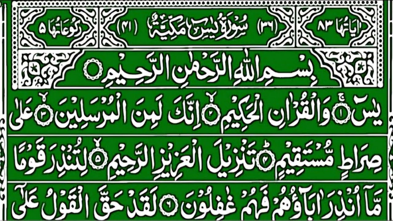 Surah Yaseen Surah Ar Rahman || Best Quran Recitation || Surah Yasin Full || Yaseen Tilawat Wazifa