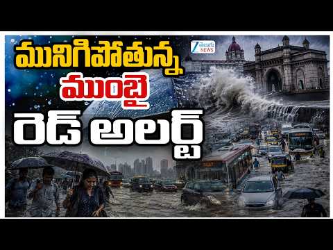 Mumbai Rain | Red Alert For Palghar | Mumbai, Thane, Raigad On Orange Alert | IMD Updates | ZEE News - ZEE24TELUGUNEWS