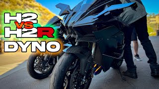 H2 vs H2R Kawasaki DYNO SHOWDOWN! BT Moto Flash Review