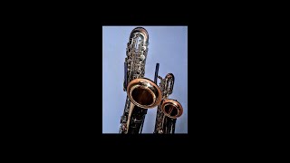 Sakkusu BASS Saxophone Review!