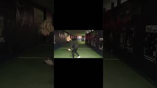 DB (2)  Staggered Stance RDL w/ Reverse Fly