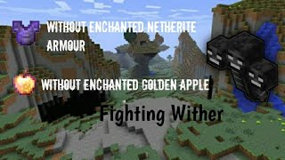 I Kill Wither with Iron armour