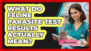 What Do Feline Parasite Test Results Actually Mean? - Happy Cat Handbook