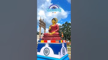 dhamma chakra pravartan din status jay bhim status #jaybhim #babasaheb #mumbai #nagpur
