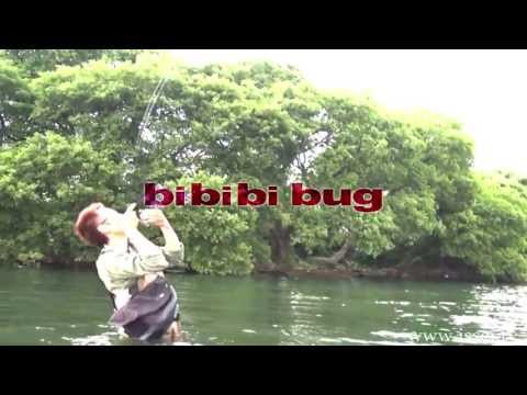 bibibi bug ビビビバグ