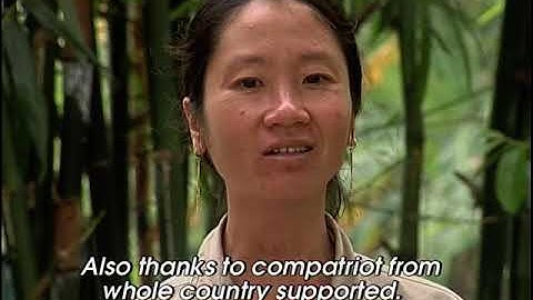 KÍ ỨC VỀ SỰ CỐ CẦU CẦN THƠ  - CAN THO BRIDGE CRASHED DOCUMANTARY FILM ( ENG SUB )-Part 2