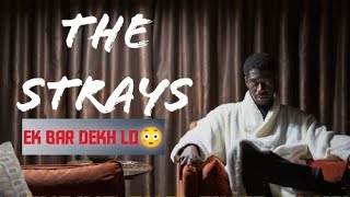 The Strays (2023) Explained in Hindi | The Strays Ending Explained in hindi