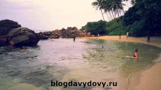 Пляж Сикрет бич, Мириса(Secret beach, Mirissa) февраль 2015, Шри-Ланка (Sri Lanka) 2ч.