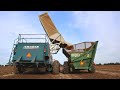 Back to Picking Peanuts after Hurricane Sally